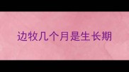 边牧几个月是生长期