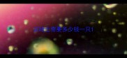 买哈士奇要多少钱一只