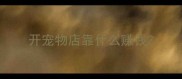 开宠物店靠什么赚钱