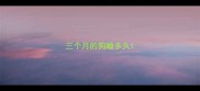 三个月的狗睡多久