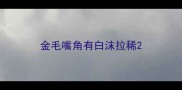 金毛嘴角有白沫拉稀