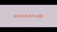 拉布拉多多大出窝