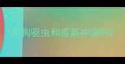 狗狗驱虫和疫苗冲突吗