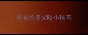拉布拉多犬咬小孩吗