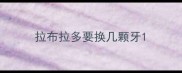 拉布拉多要换几颗牙