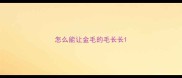 怎么能让金毛的毛长长