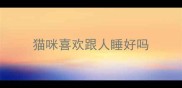 猫咪喜欢跟人睡好吗