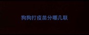 狗狗打疫苗分哪几联
