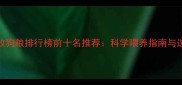 国产边牧狗粮排行榜前十名推荐科学喂养指南与选购技巧