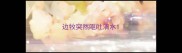 边牧突然呕吐清水