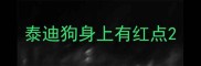 泰迪狗身上有红点