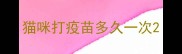 猫咪打疫苗多久一次