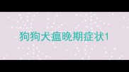 狗狗犬瘟晚期症状