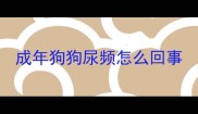 成年狗狗尿频怎么回事