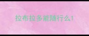 拉布拉多能随行么