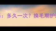 金毛修毛全攻略多久一次换毛期护理技巧大公开