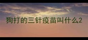 狗打的三针疫苗叫什么