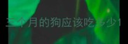 三个月的狗应该吃多少
