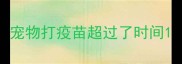 宠物打疫苗超过了时间