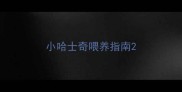 小哈士奇喂养指南