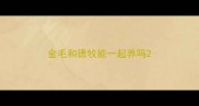 金毛和德牧能一起养吗