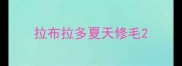 拉布拉多夏天修毛