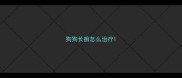 狗狗长癣怎么治疗