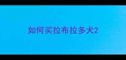 如何买拉布拉多犬