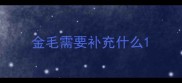 金毛需要补充什么
