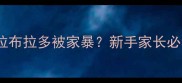 2个月大拉布拉多被家暴新手家长必看急救指南