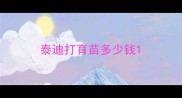 泰迪打育苗多少钱