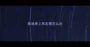 泰迪身上有皮屑怎么办