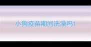 小狗疫苗期间洗澡吗