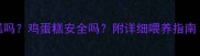 泰迪能吃蛋糕吗鸡蛋糕安全吗附详细喂养指南附自制食谱