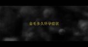 金毛多久怀孕症状