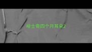 哈士奇四个月耳朵