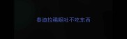 泰迪拉稀呕吐不吃东西