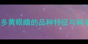 拉布拉多黄眼睛的品种特征与科学解释