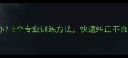 哈士奇幼犬凶叫怎么办5个专业训练方法快速纠正不良行为附视频教程