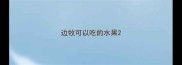 边牧可以吃的水果