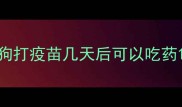 狗打疫苗几天后可以吃药