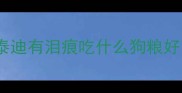 泰迪有泪痕吃什么狗粮好