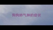 狗狗肺气肿的症状