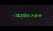 小狗耳螨多久能好
