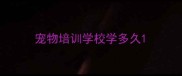 宠物培训学校学多久
