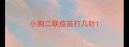 小狗二联疫苗打几针