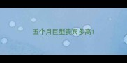 五个月巨型贵宾多高