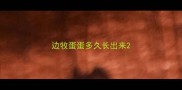 边牧蛋蛋多久长出来