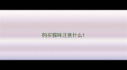 购买猫咪注意什么