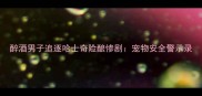 醉酒男子追逐哈士奇险酿惨剧宠物安全警示录